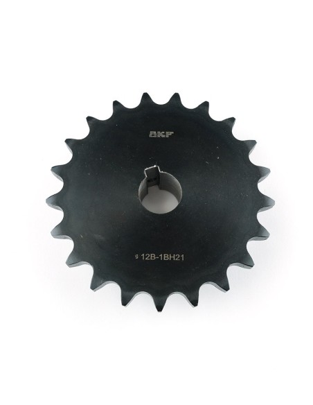 piñon CHAVETERO piñon CHAVETERO