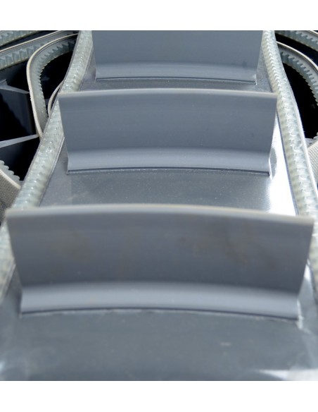 BANDA TRANSPORTADORA 310 MM 10,7M PELLENC