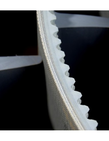 BANDA TRANSPORTADORA 310 MM 10,7M PELLENC