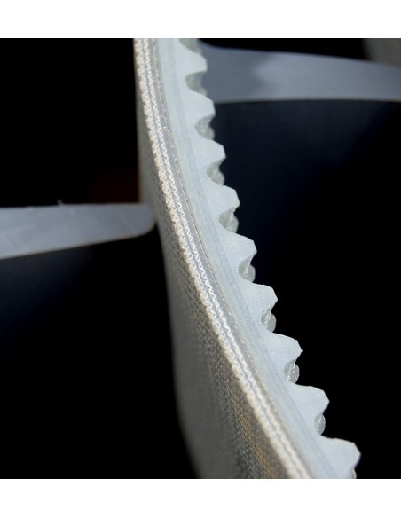 BANDA TRANSPORTADORA 310 MM 10,7M PELLENC