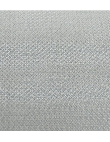 BANDA TRANSPORTADORA 310 MM 10,7M PELLENC