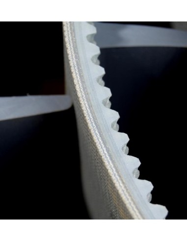 BANDA TRANSPORTADORA 250MM  10,40M PELLENC