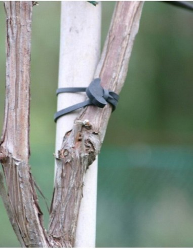 ANCRAGE EN CAOUTCHOUC NUMÉRO 16, SAC DE 150 UNITÉS