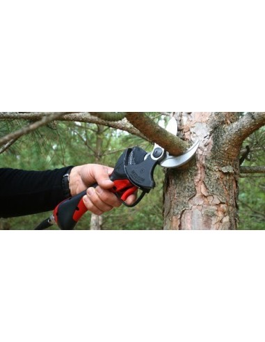 Kit Cabezal Medio F3010