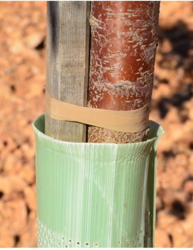 Cinta para el guiado, caja 20 und color verde 26 metros