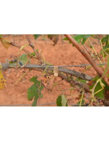 ATTACHEUSE RUBAN TUTEURAGE TB-R2 ALUMINIUM