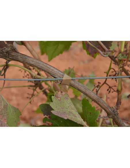 ATTACHEUSE RUBAN TUTEURAGE TB-R2 ALUMINIUM ATTACHEUSE RUBAN TUTEURAGE TB-R2 ALUMINIUM