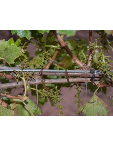 ROULEAU COMPATIBLE POUR ATTACHEUR PELLENC