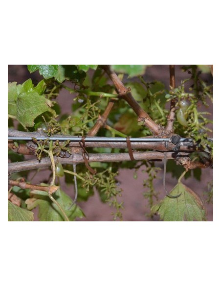 ROULEAU COMPATIBLE POUR ATTACHEUR PELLENC