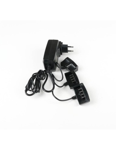 CHARGEUR 3  PRISES PS32