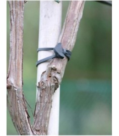 ANCRAGE EN CAOUTCHOUC NUMÉRO 20, BOÎTE DE 2 500 UNITÉS 2