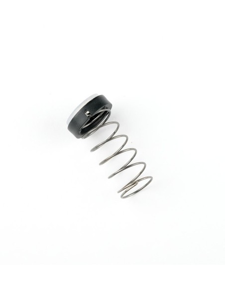 CONJUNTO MUELLE PORTAROLLOS KV4