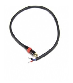 CÂBLE SORTIE DE LA BATTERIE F3000, F3002, F3005